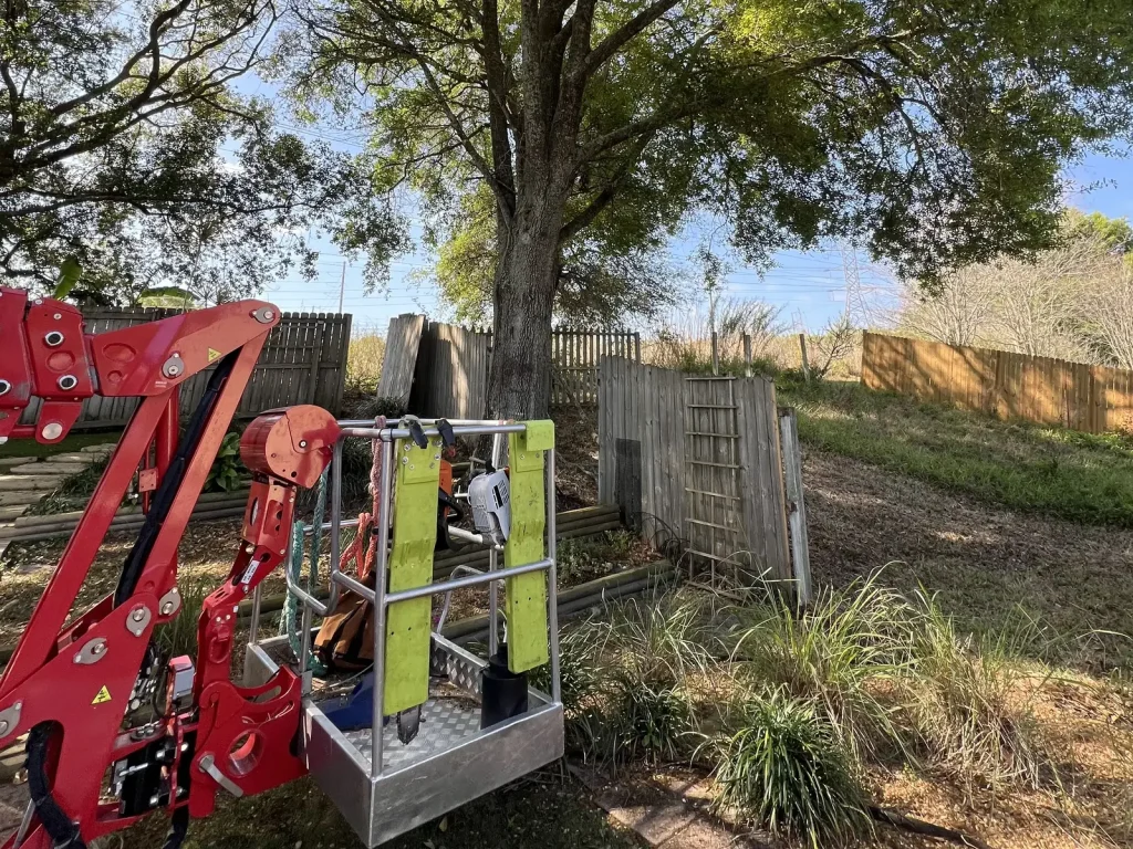 Tampa Tampa Land Clearing Services