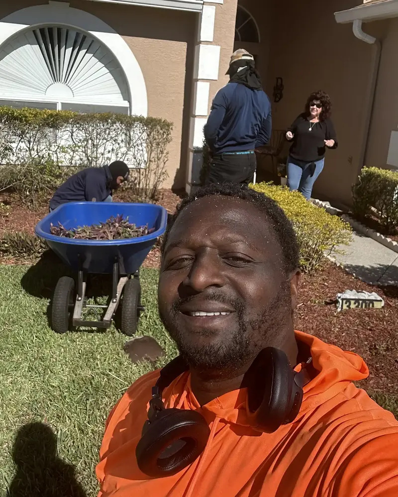 Tampa Tree Service Removal