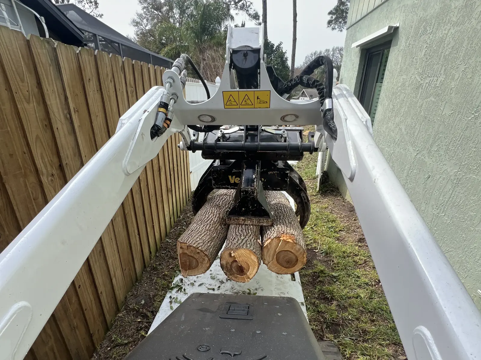 Professional tree removal service in Brandon FL