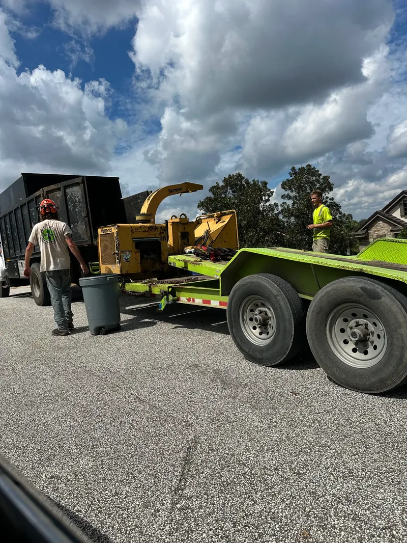 Tree service crew loading debris in Wesley Chapel FL